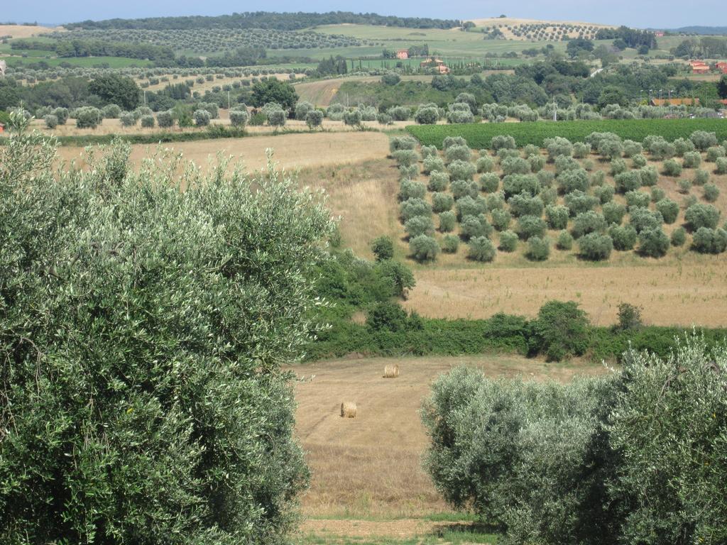 Vila Agriturismo La Carlina Magliano in Toscana Exteriér fotografie