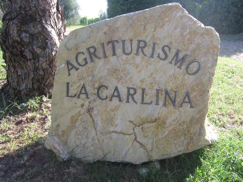 Vila Agriturismo La Carlina Magliano in Toscana Exteriér fotografie