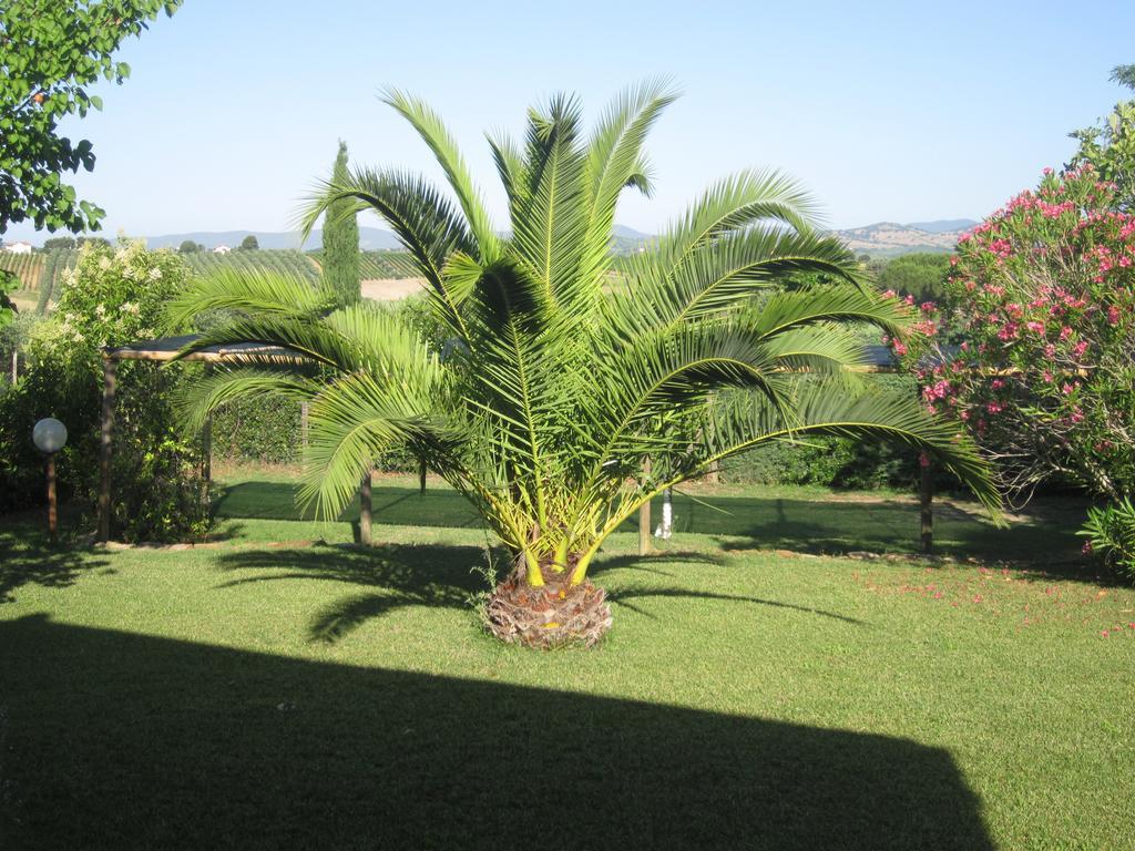 Vila Agriturismo La Carlina Magliano in Toscana Exteriér fotografie